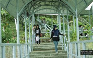 waduk-sermo-4