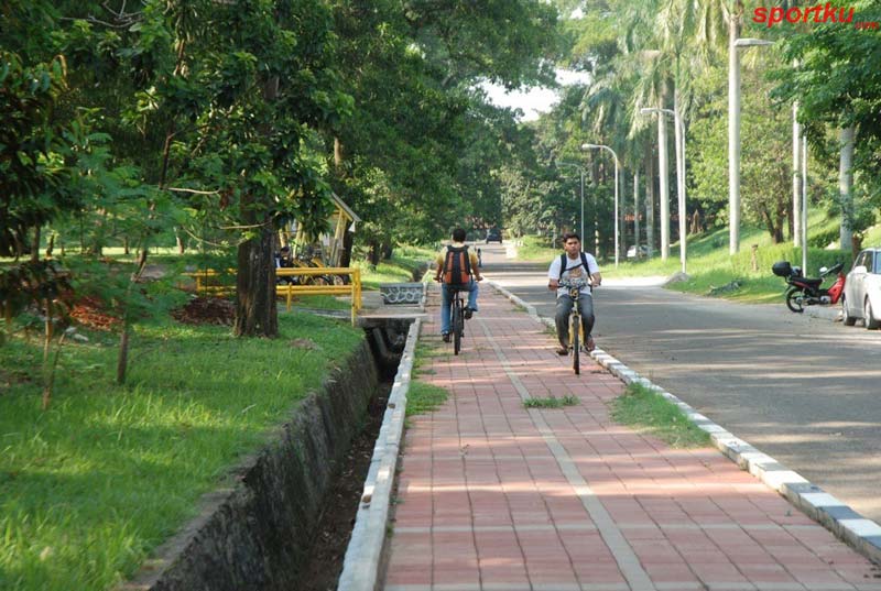 lajur-sepeda-2